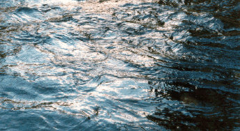 photo - sierra trout waters glistening