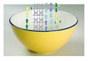 a yellow bowl with arrows entering and emerging