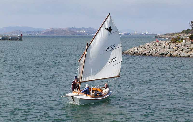 San Francisco Bay Pelican cruises the Marina entrance.