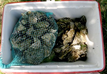 Some of the intended victims