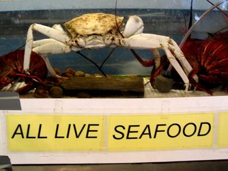 A white crab - not on our menu.
