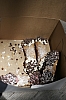 yummy canoli