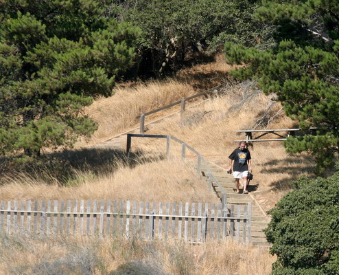 (Snitil) comes down the path. (Photo taken from the ferry as it leaves the dock.)