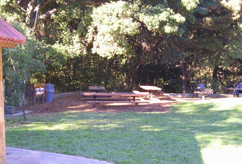 Our picnic site