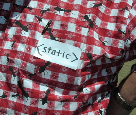 What's a picnic without a few ants?